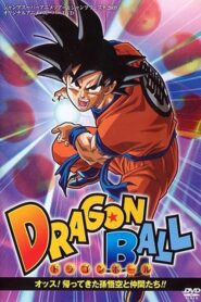 Dragon Ball Z: Goku y sus amigos regresan