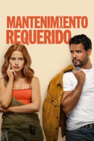 Mantenimiento requerido